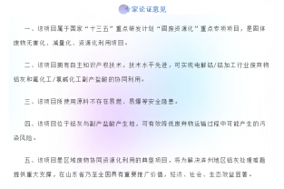 “鋁灰/副產(chǎn)鹽酸資源化利用項目”專(zhuān)家論證會(huì )