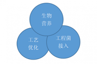 非工程改造-庫巴魯總氮提標技術(shù)—長(cháng)隆科技
