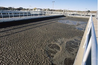 【干貨】泥齡導致的氨氮超標？那這種情況該如何處理呢？
