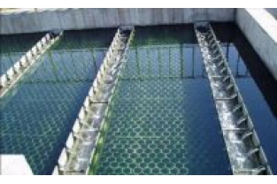 【干貨】生物濾池為什么一受沖擊氨氮去除率就會(huì )下降？